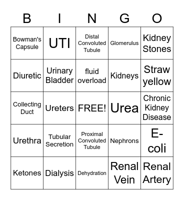Urinary System Bingo Card