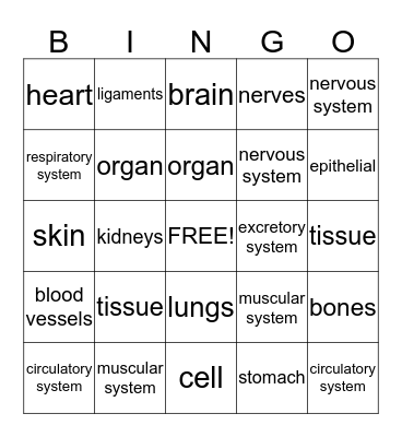 Systems  Bingo Card
