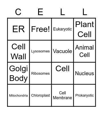 Cells Bingo Card
