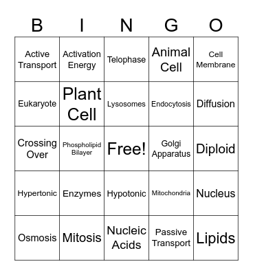 Cell Bingo Card