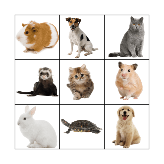 PETS Bingo Card