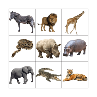 WILD ANIMALS Bingo Card