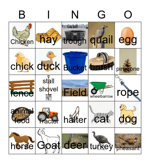 The Hausman Farmyard Bingo Card