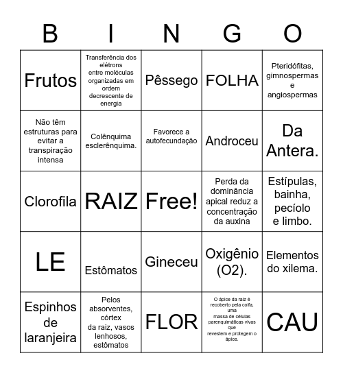 BINGO VEGETAL Bingo Card