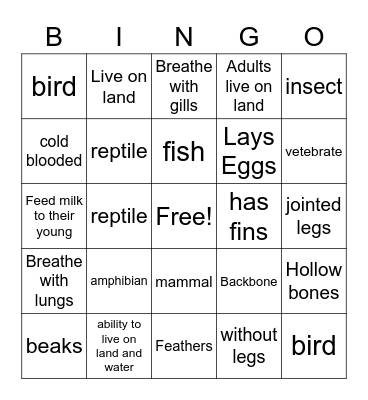Animal Classification Bingo Card