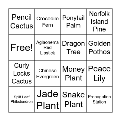 Library Houseplant Scavenger Hunt Bingo Card