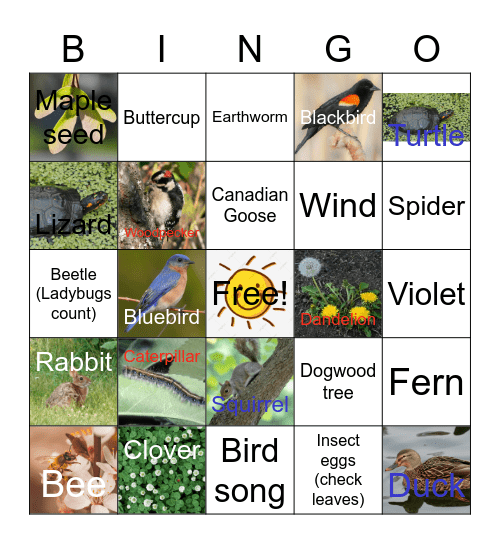 Signs of Spring Bingo Card