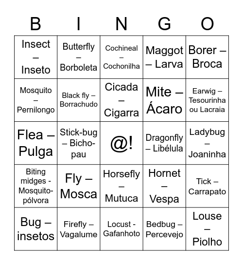 INSECTS Bingo Card