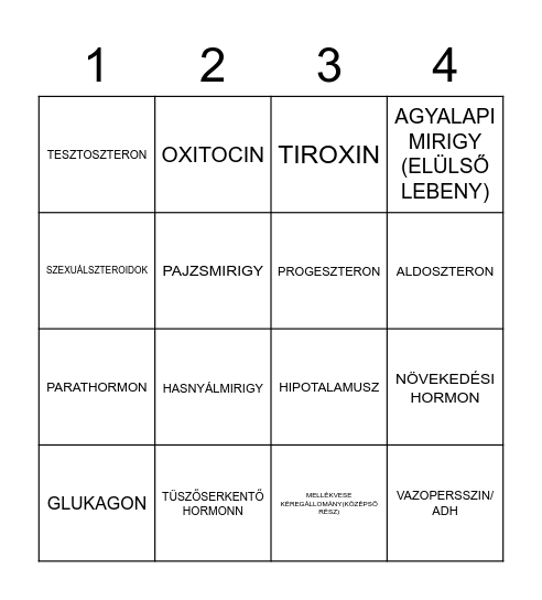 HORMONOK Bingo Card