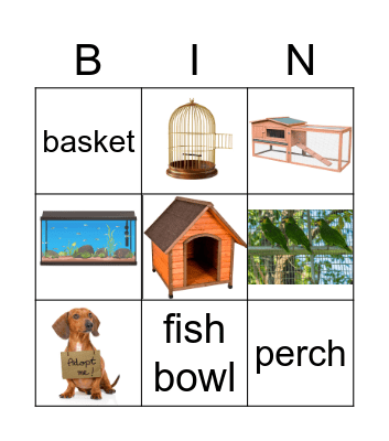 Animal Homes Bingo Card