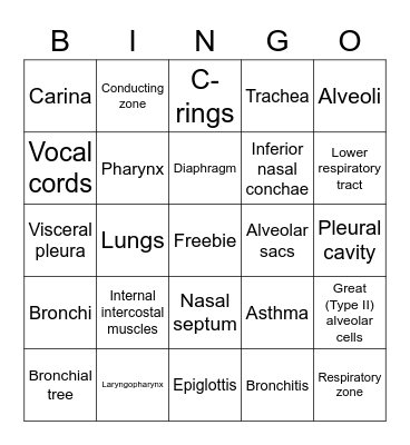 Respiratory System Bingo Card