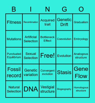 Evolution Bingo Card