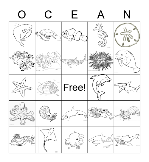 Ocean Life Close-up Bingo Card