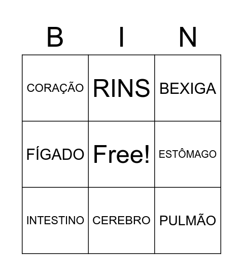 PRINCIPAIS ORGÃOS DO CORPO HUMANO Bingo Card