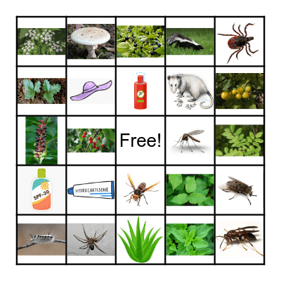 Nature Safety Bingo Card