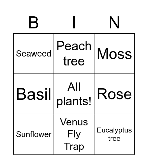 Plants Bingo Card