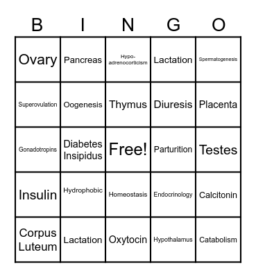 Endocrine System Bingo Card