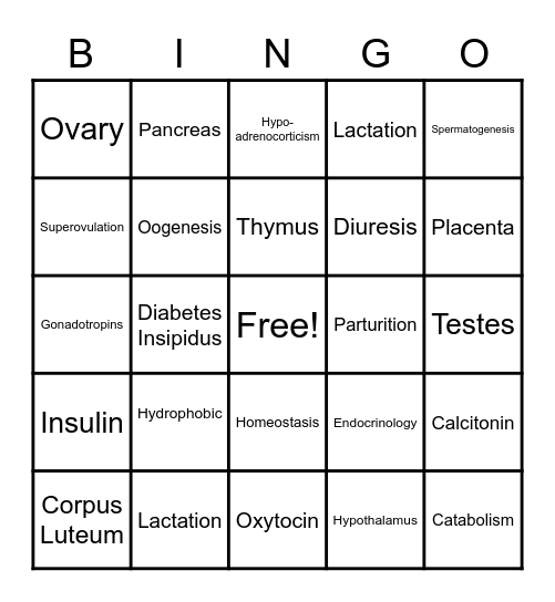 Endocrine System Bingo Card