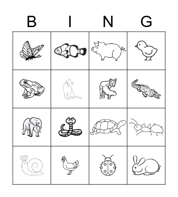 animals Bingo Card