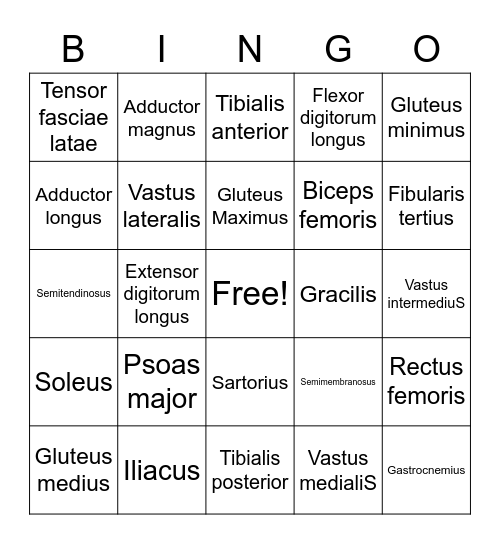 Musco 3 Bingo Card