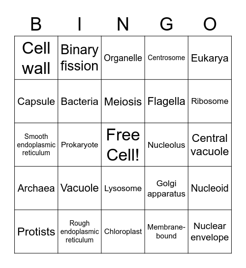 Types of Cells & Cell Structures Bingo Card