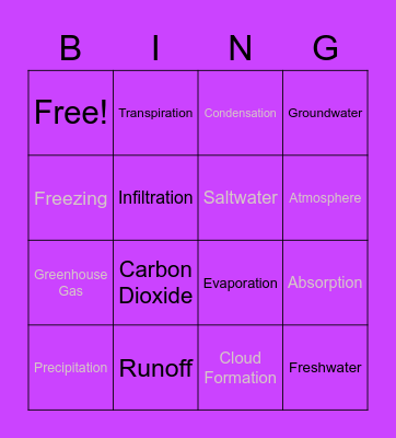 The Water Cycle Bingo Card