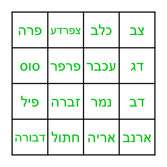 בעלי חיים Bingo Card
