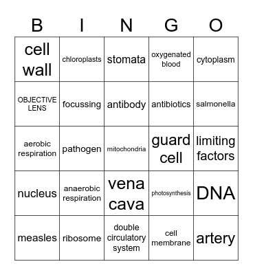 Biology paper 1 Bingo Card