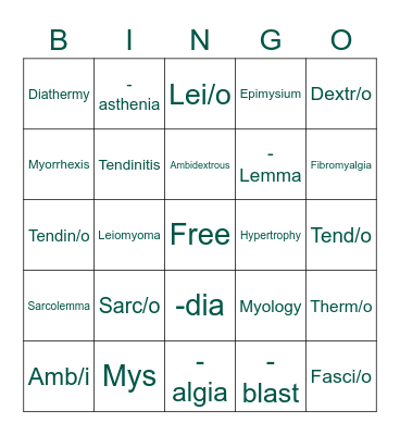 Muscular System Bingo Card