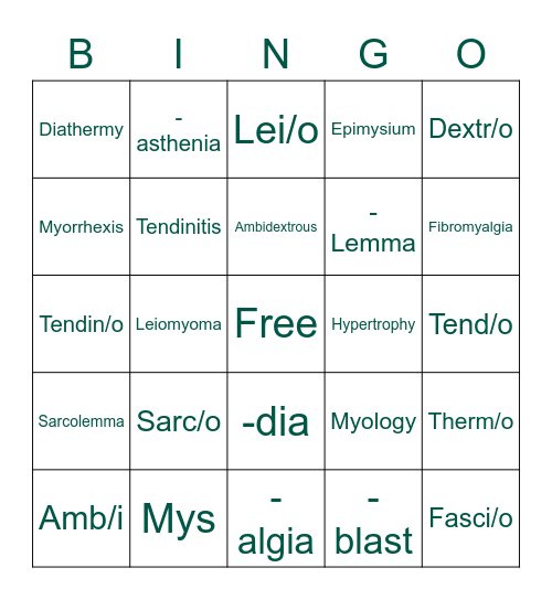 Muscular System Bingo Card