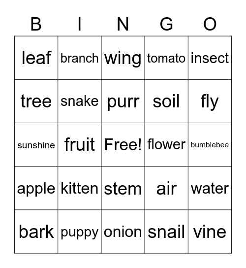 Level 2: Word Bingo #2 Bingo Card