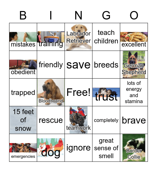 G3 U5 W3 RESCUE DOGS SAVE THE DAY Bingo Card