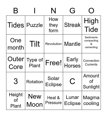 Interim Assessment Review Bingo Card