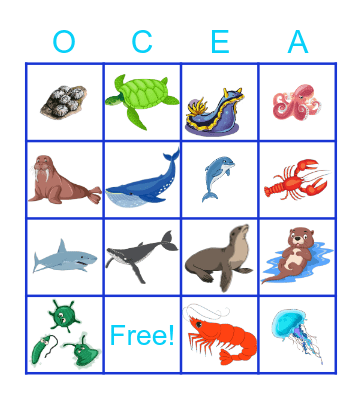 Ocean Animals Bingo Card