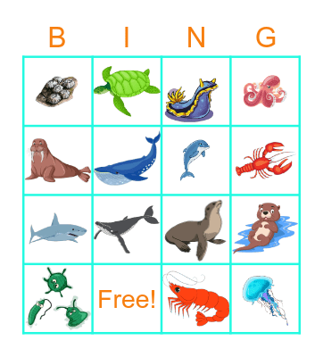 Ocean Animals Bingo Card