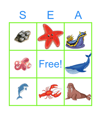 Ocean Animals Bingo Card