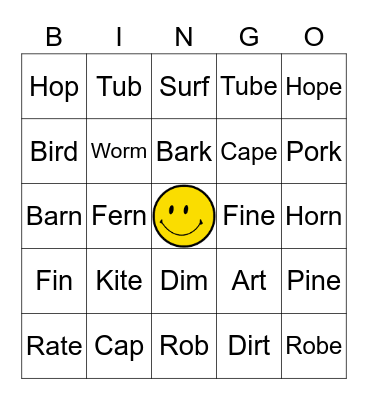 CVC, CVCE, R-Controlled Words Bingo Card