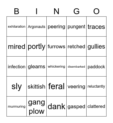 Riding Freedom Vocabulary Bingo Card