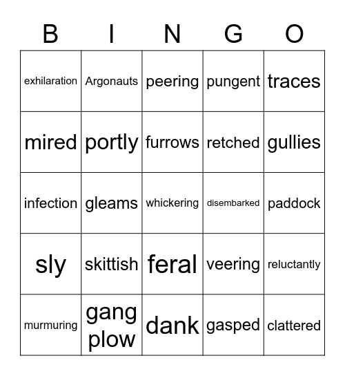 Riding Freedom Vocabulary Bingo Card