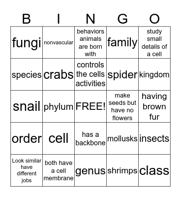 Science Ch. 1 Bingo Card