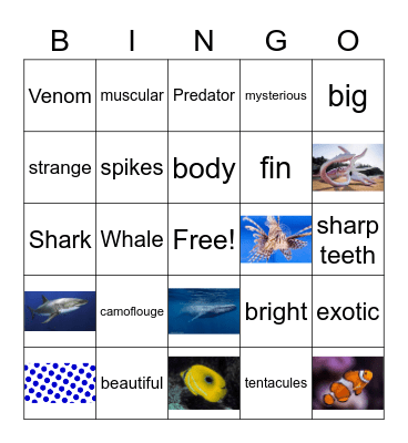 Vocabulaire sous-marin Bingo Card