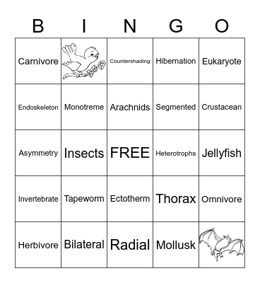 ANIMALS Bingo Card