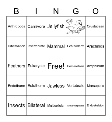 ANIMALS Bingo Card