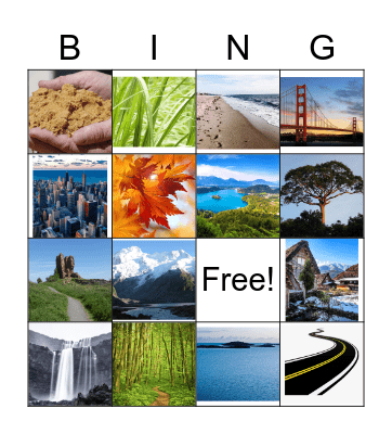 nature trail Bingo Card