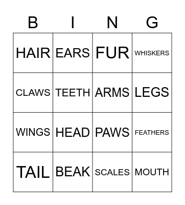 ANIMAL BODY Bingo Card