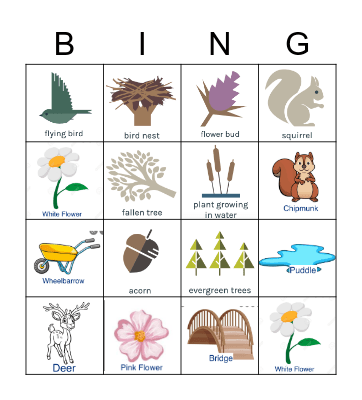 Whipple Park Nature Walk Bingo Card