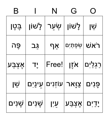 Hebrew body parts Bingo Card