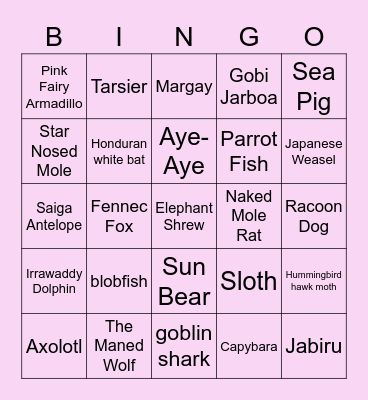 Weird Animals!!! Bingo Card