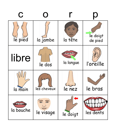 LES PARTIES DU CORPS Bingo Card