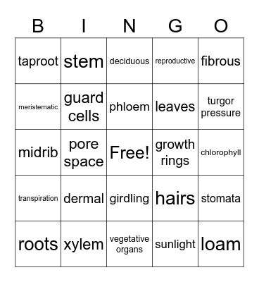Plant Structure & Function Bingo Card